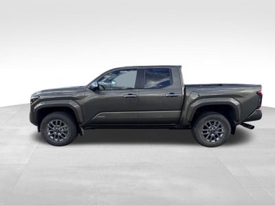 2025 Toyota Tacoma Limited