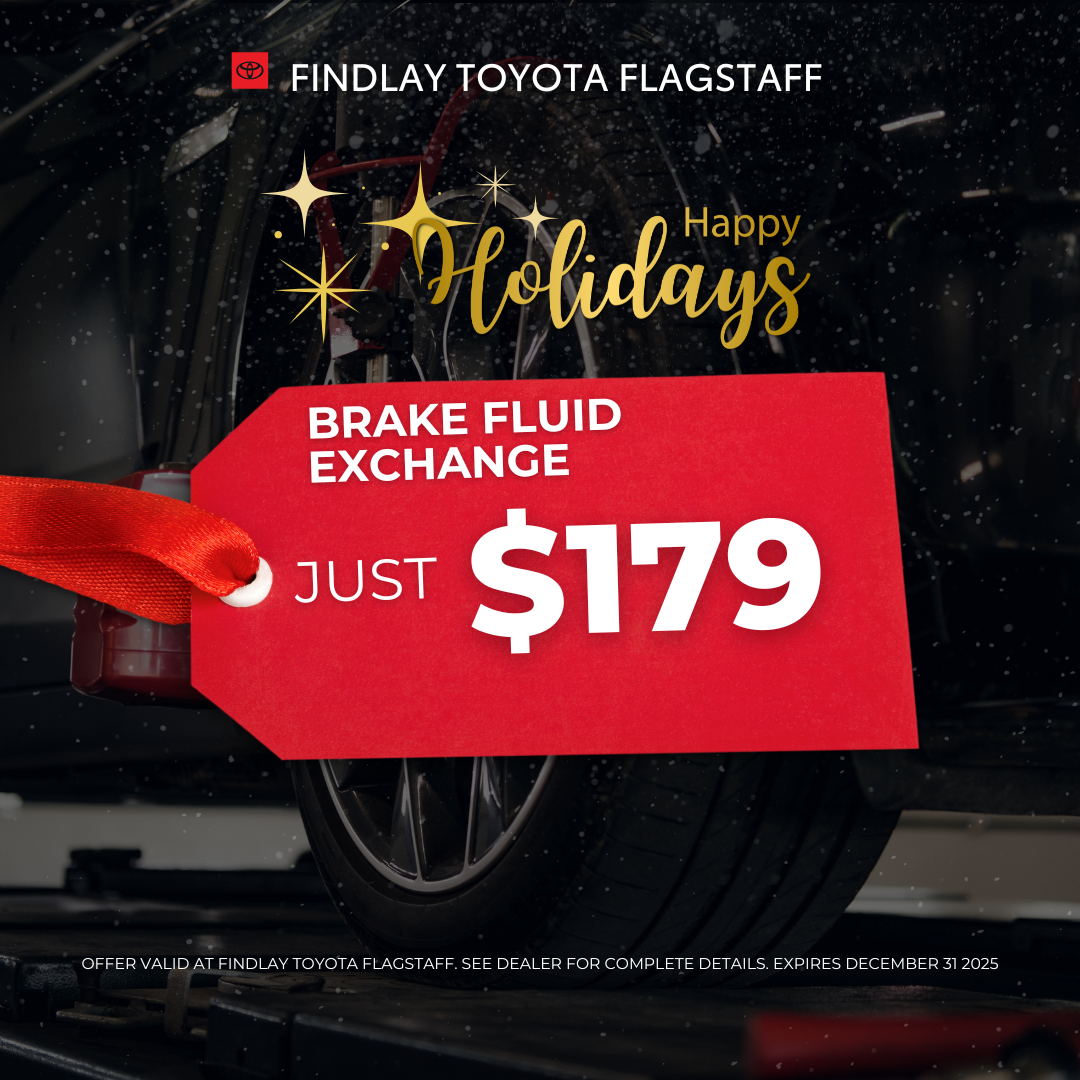 Brake Fluid Exchange