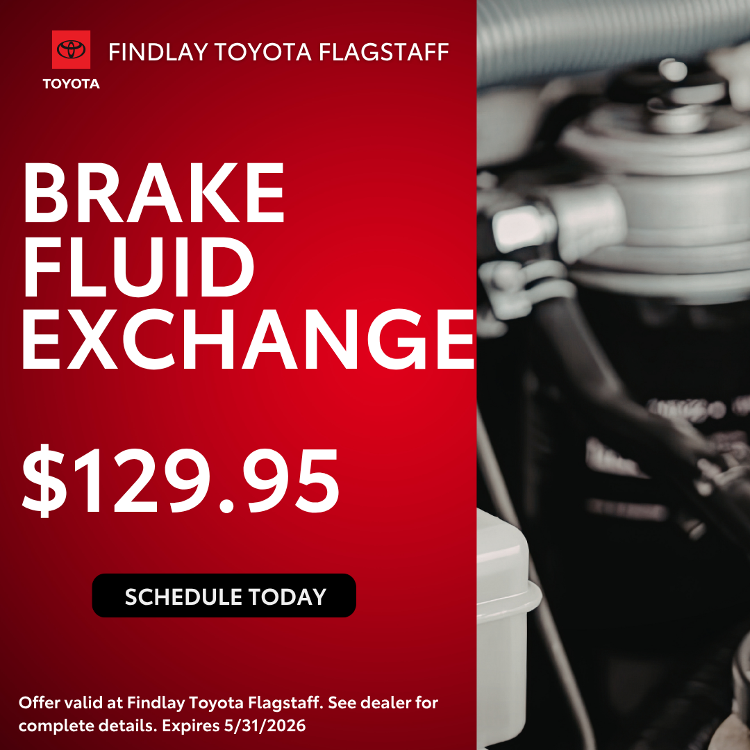 Brake Fluid Exchange