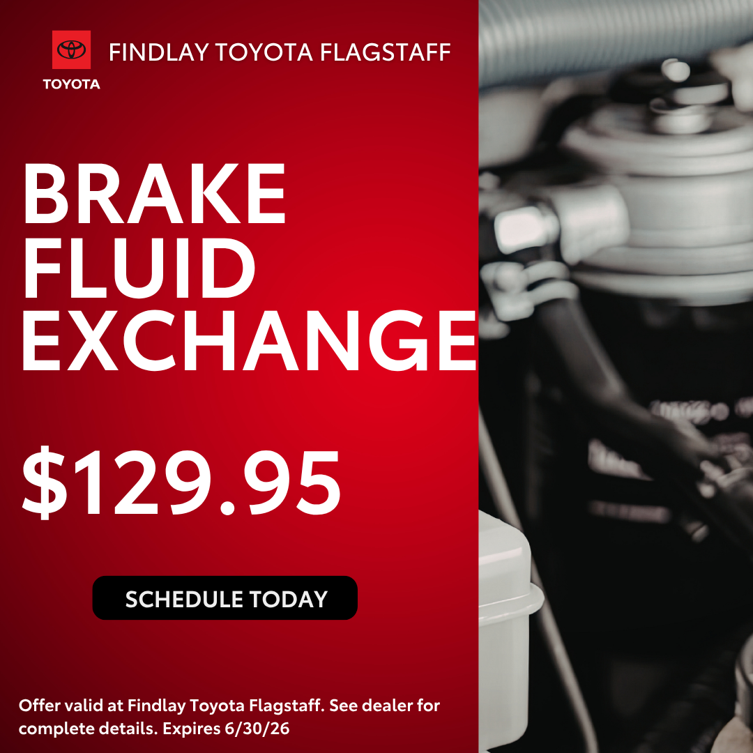 Brake Fluid Exchange