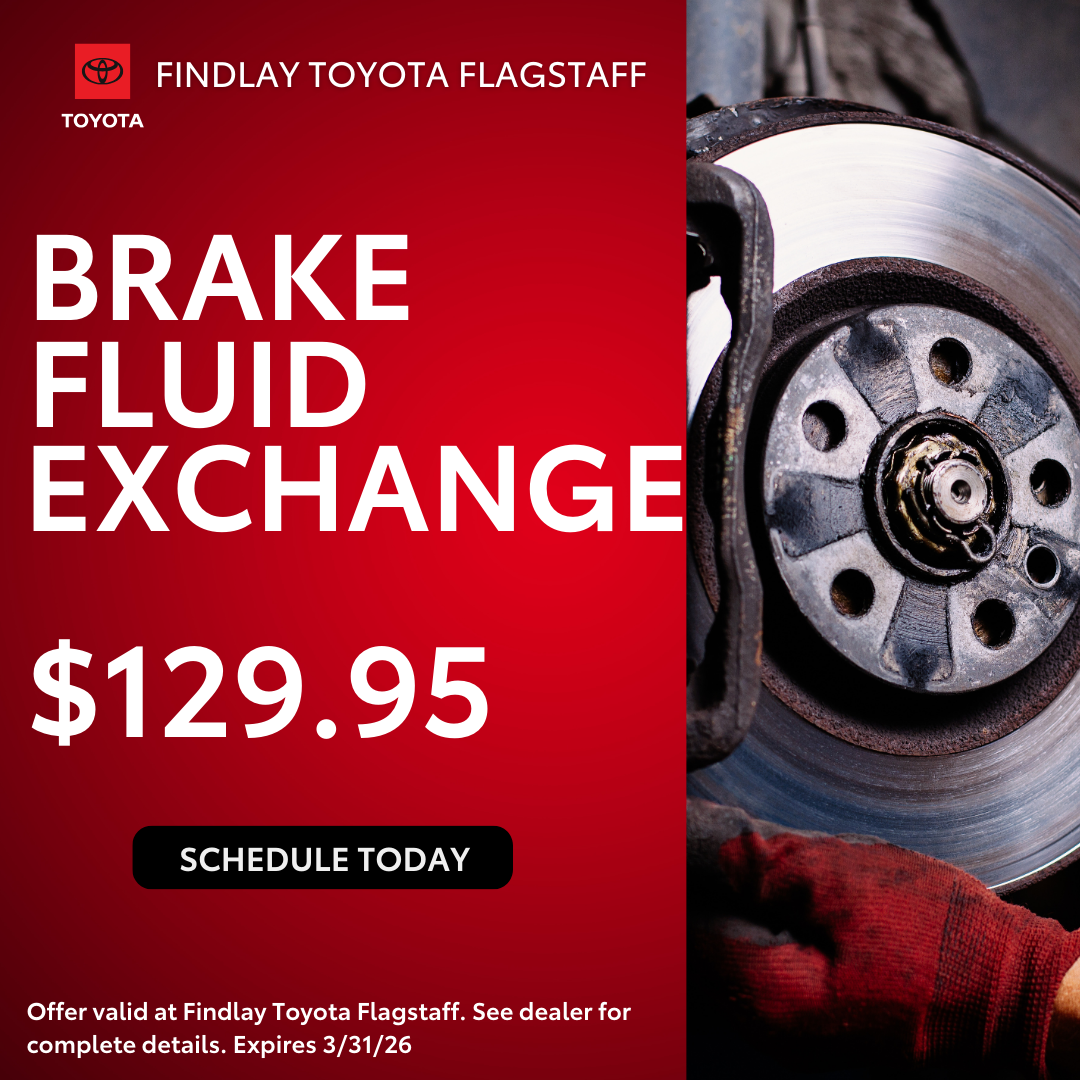 Brake Fluid Exchange